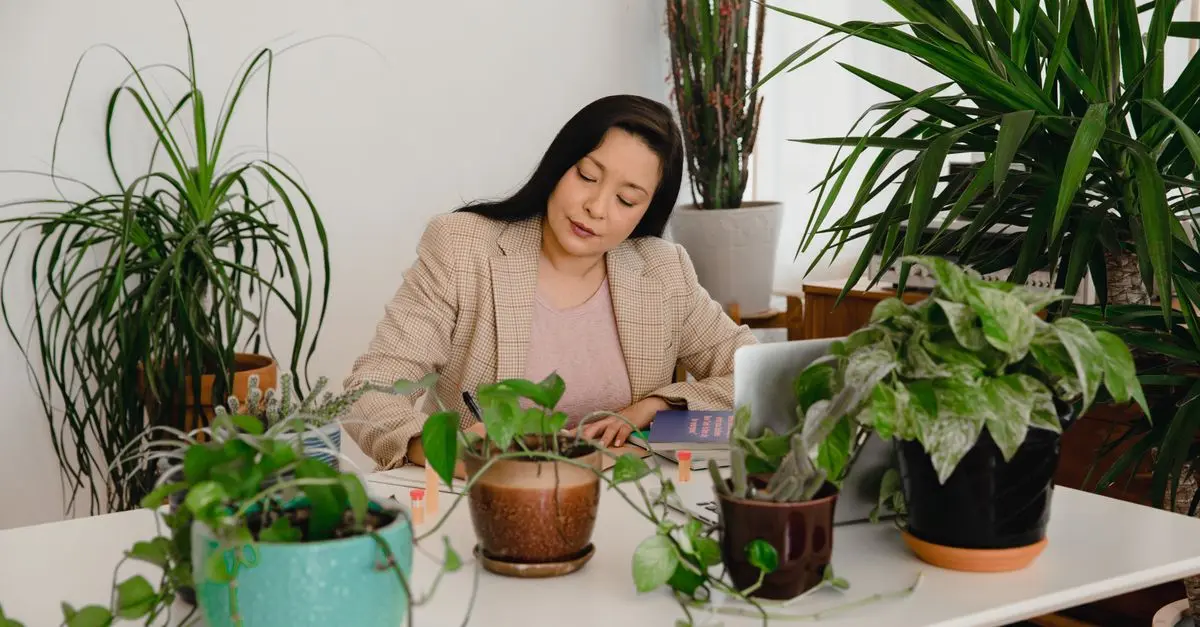 La Gestion du Stress en Leadership: Stratégies Clés à Adopter